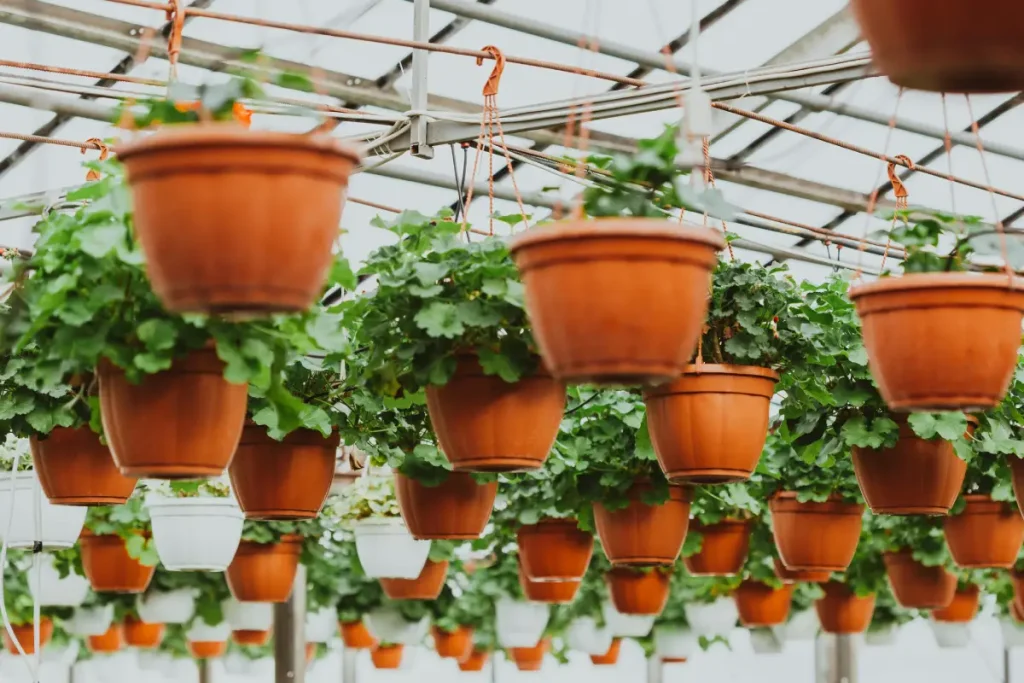 10 Proven Tips to Grow Herbs Indoors Without Sunlight