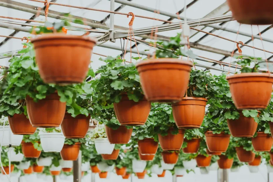 10 Proven Tips to Grow Herbs Indoors Without Sunlight