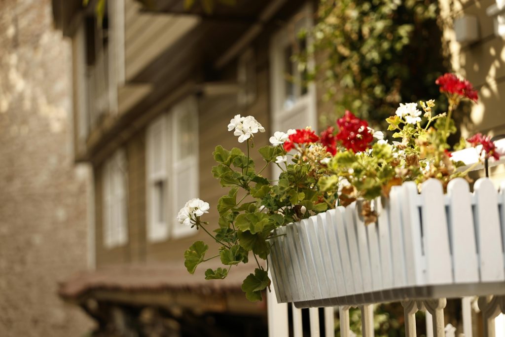 Balcony garden basics